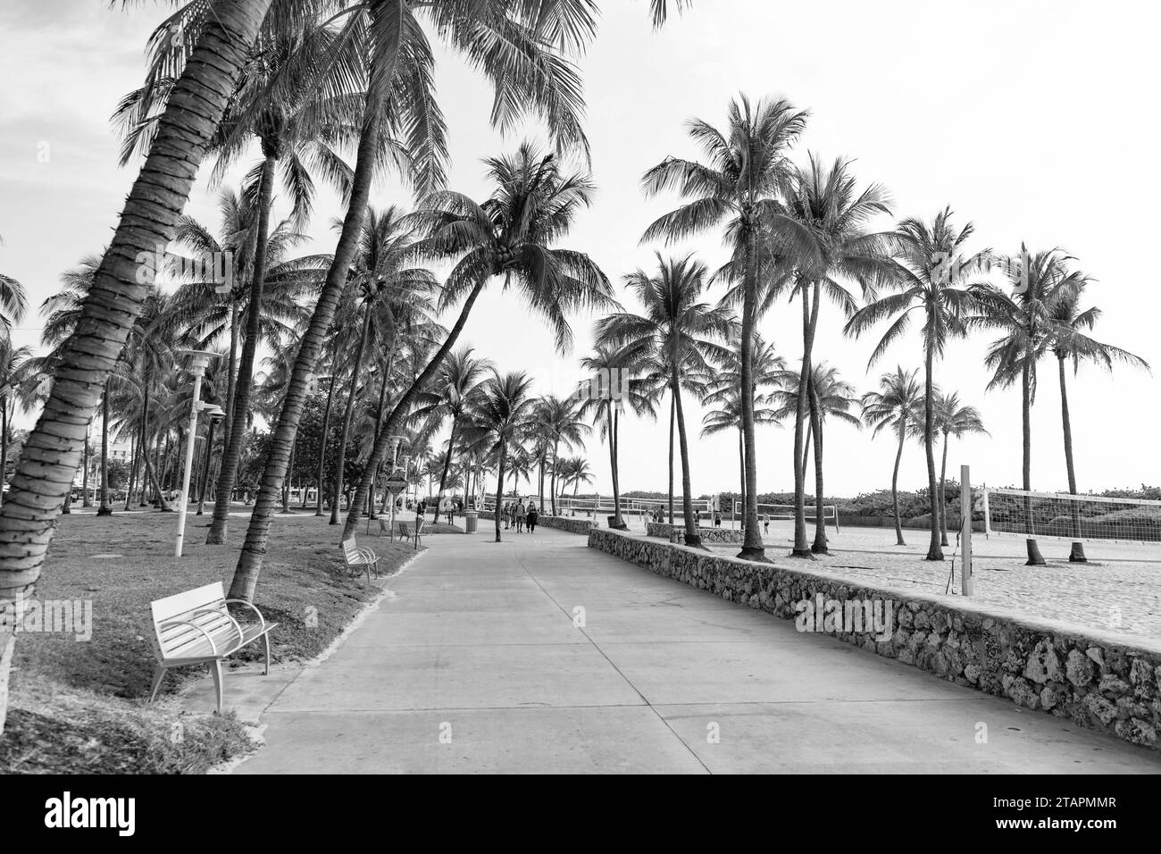 Miami, Florida USA April 18, 2021 promenade way in downtown miami