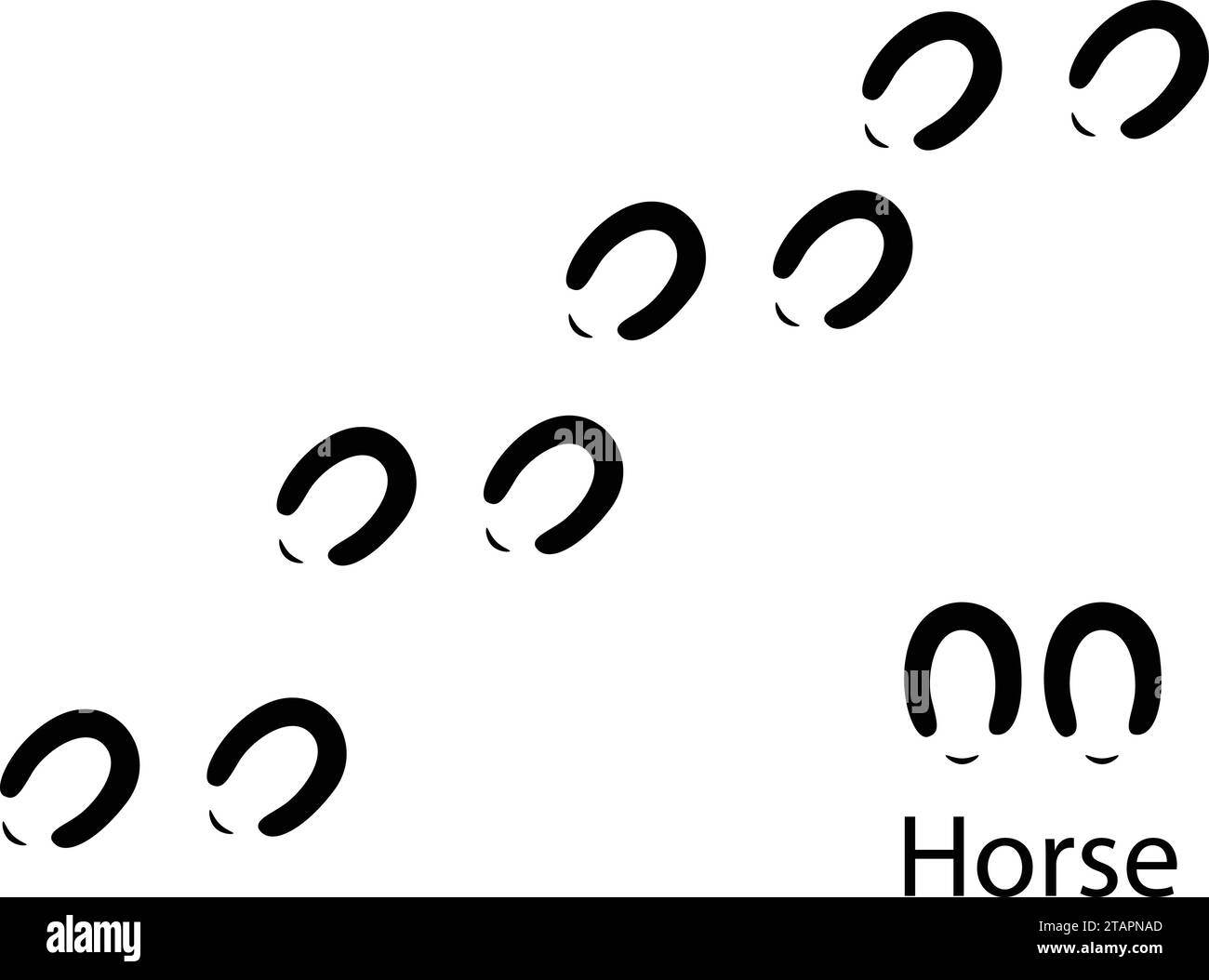 Path footprints of shod horse, pony. Track of horseshoes of donkey, mule. Shod hooves. Silhouette. Horse trail. Black Vector isolated on white. Stock Vector