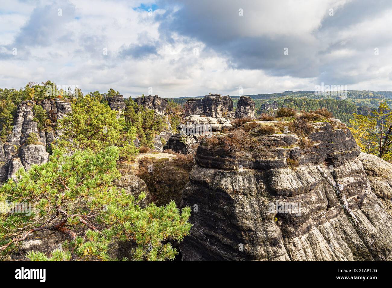 View Of Rocks And Trees In Saxon Switzerland Stock Photo - Alamy