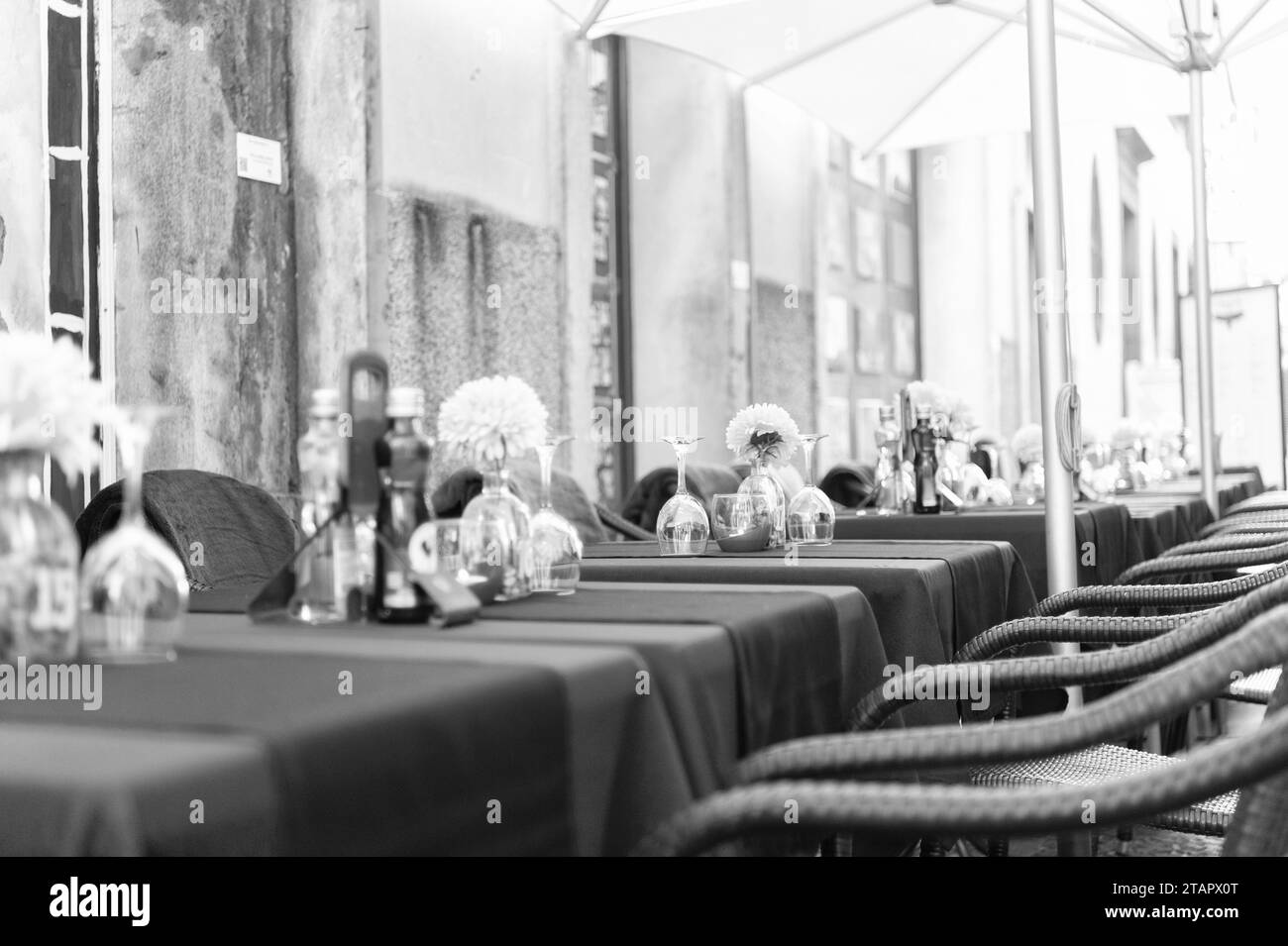 outdoor cafe with tables. outdoor cafe diner. outdoor cafe with nobody