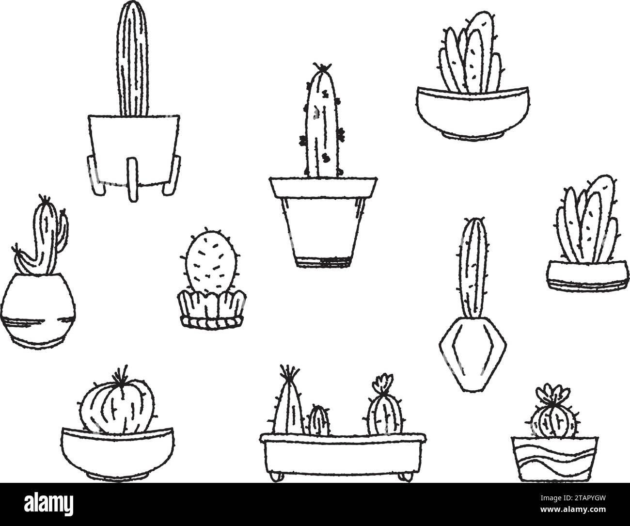 Set of cacti in a doodle pot on a transparent background. Line of ...