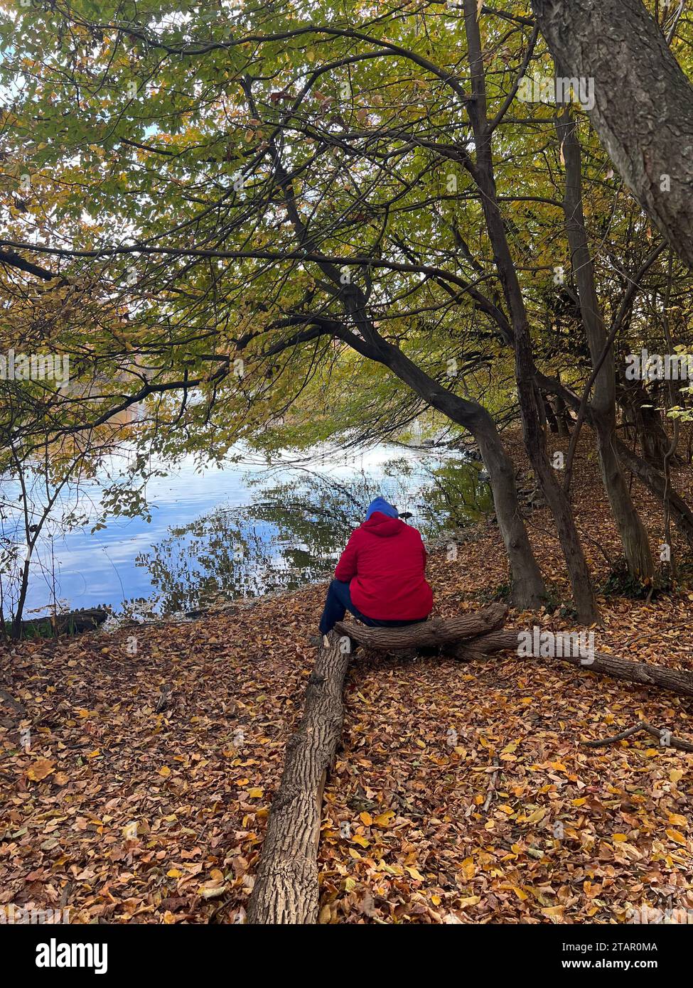 Person alone in contemplation by the lake during the autumn in Prospect Park, Brooklyn, New York. Stock Photo