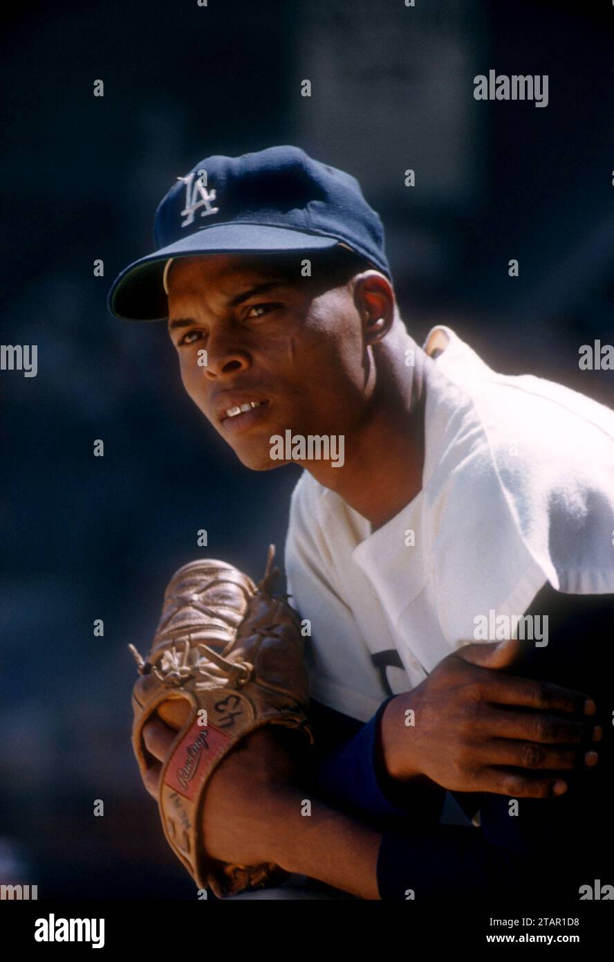 Charlie neal hi-res stock photography and images - Alamy