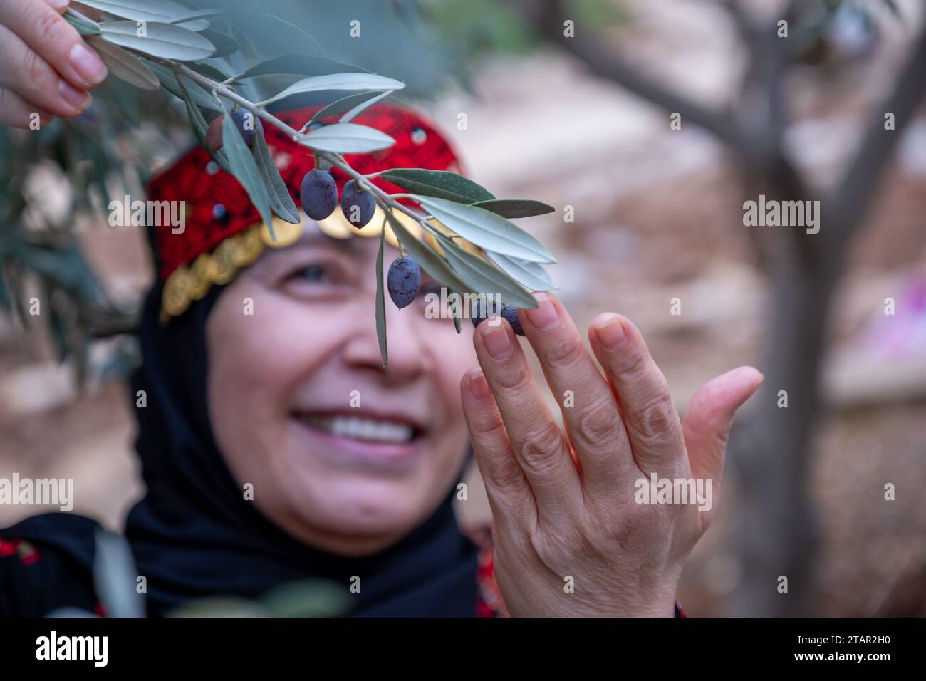 Portrait Of woman wearing palestinian traditional clothes in olive