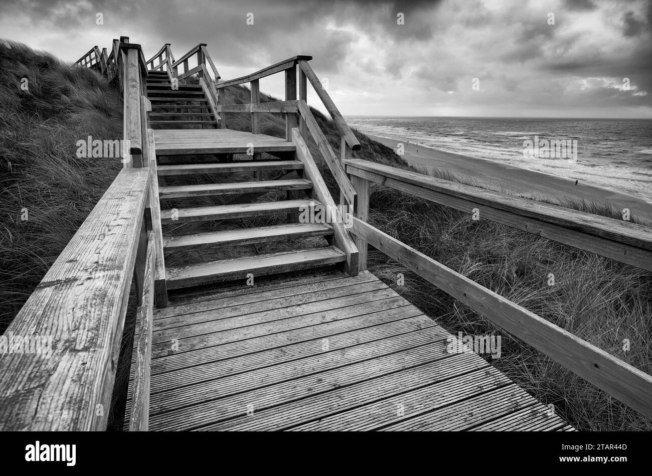 Boardwalk, wooden walkway, dune hiking trail, black and white photo, Wenningstedt, Braderup, North Sea island of Sylt, North Frisia Stock Photo