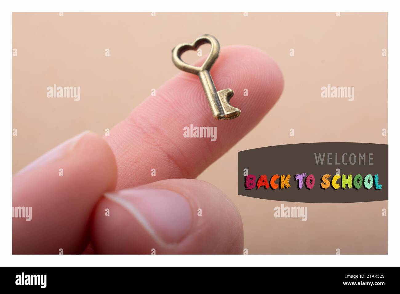 Back to school, education background for invitation, promotion poster, banner Stock Photo