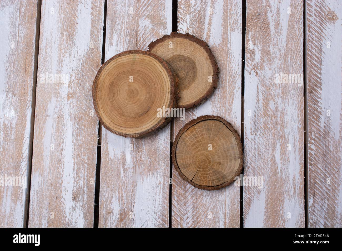 Wood Log cut in round thin pieces on wooden planks Stock Photo Alamy