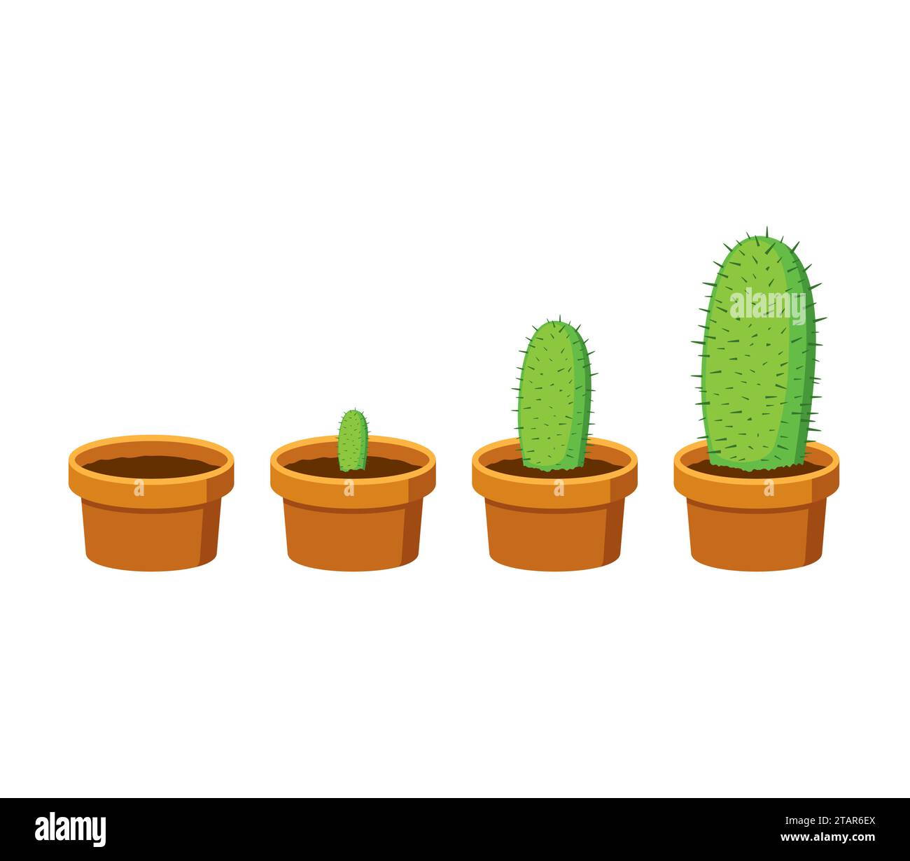 Phases cactus growth islated on white background. Cactus in flower pot in flat style. Timeline infographic of growth process. Vector Illustration Stock Vector