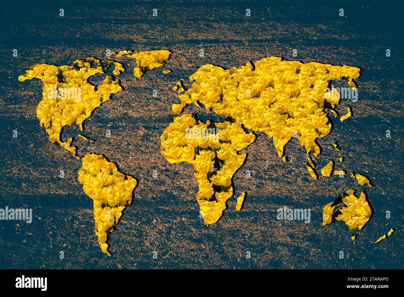Roughly outlined world map with white background Stock Photo