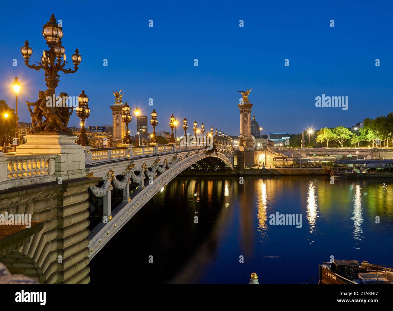 Alexander III bridge at night, Paris Stock Photo