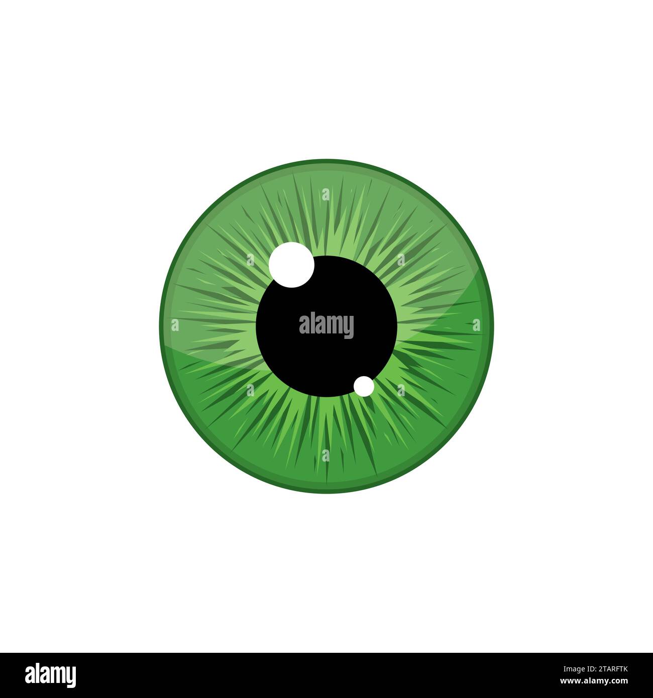 Human green eyeball iris pupil isolated on white background. Eye Vector Illustration Stock Vector