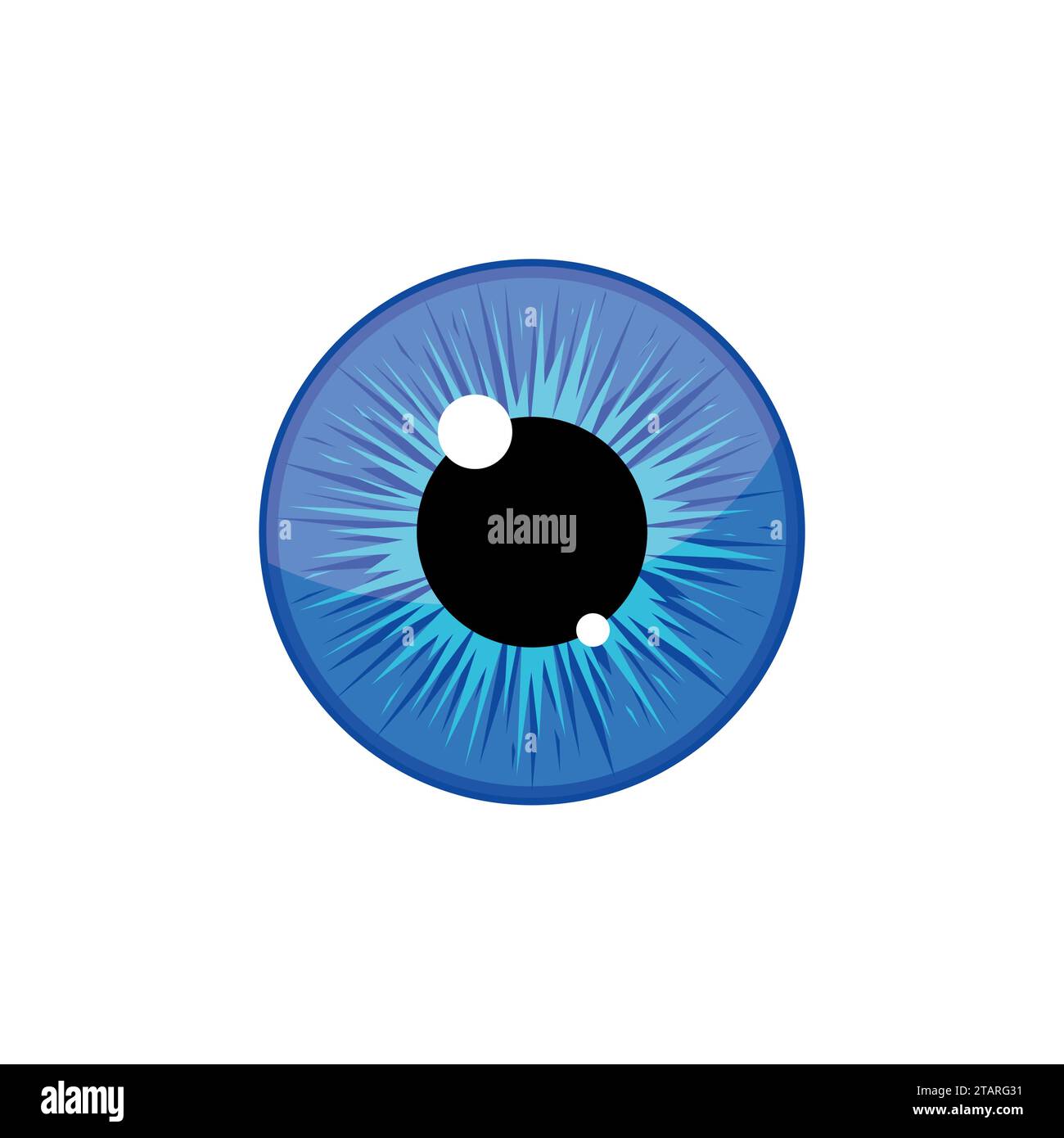 Human blue eyeball iris pupil isolated on white background. Eye Vector Illustration Stock Vector