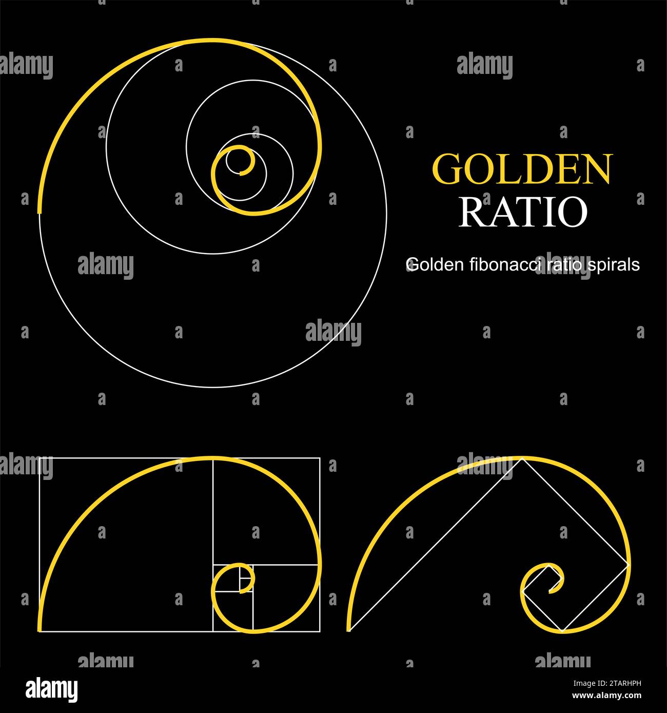 Golden ratio template set Proportion symbol Graphic Design element Golden ratio template set Proportion symbol Graphic Design element
