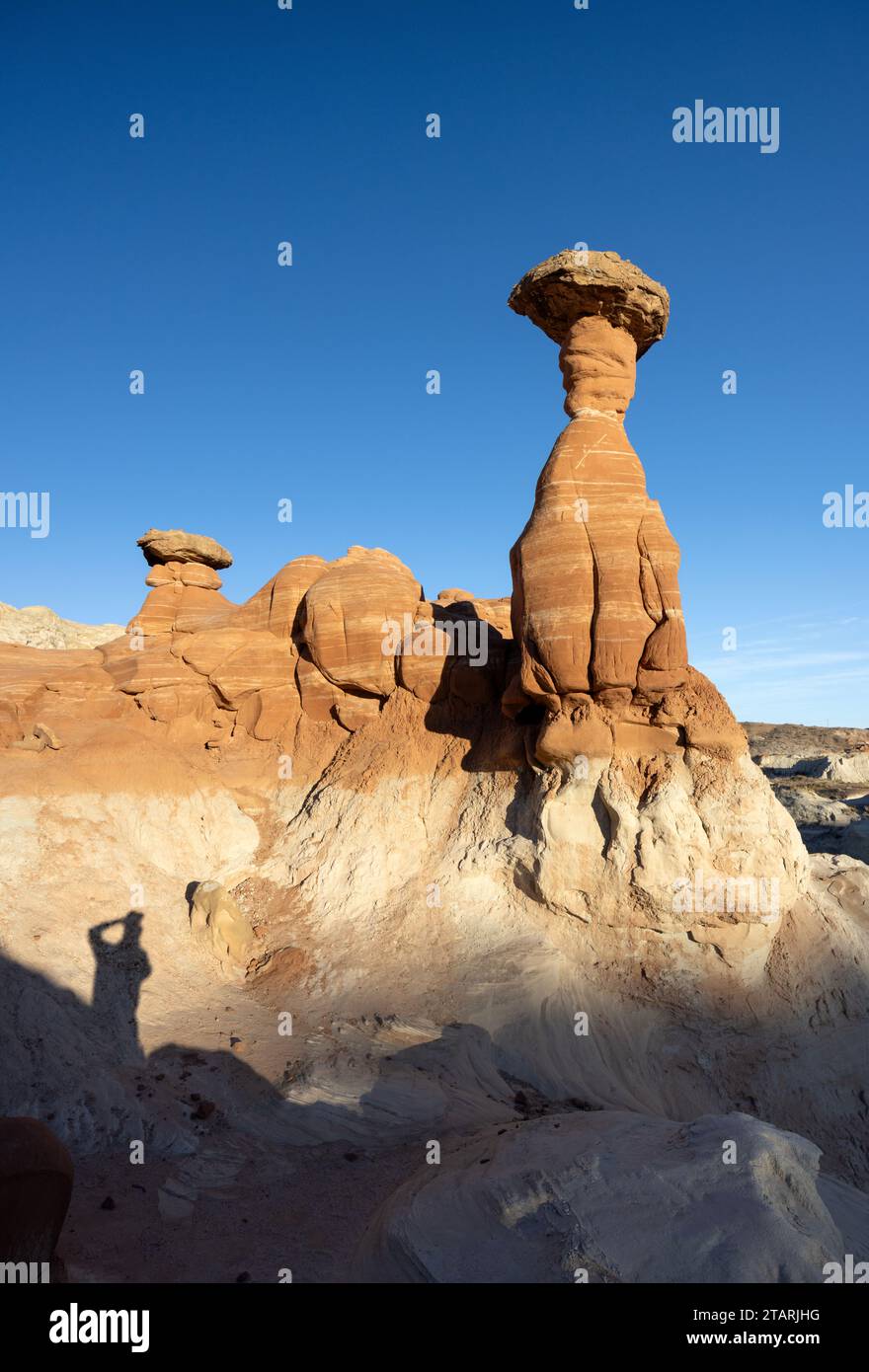 Toadstool Hoodoos unusual rock formations in  Escalante National Monument., Utah, USA. Stock Photo