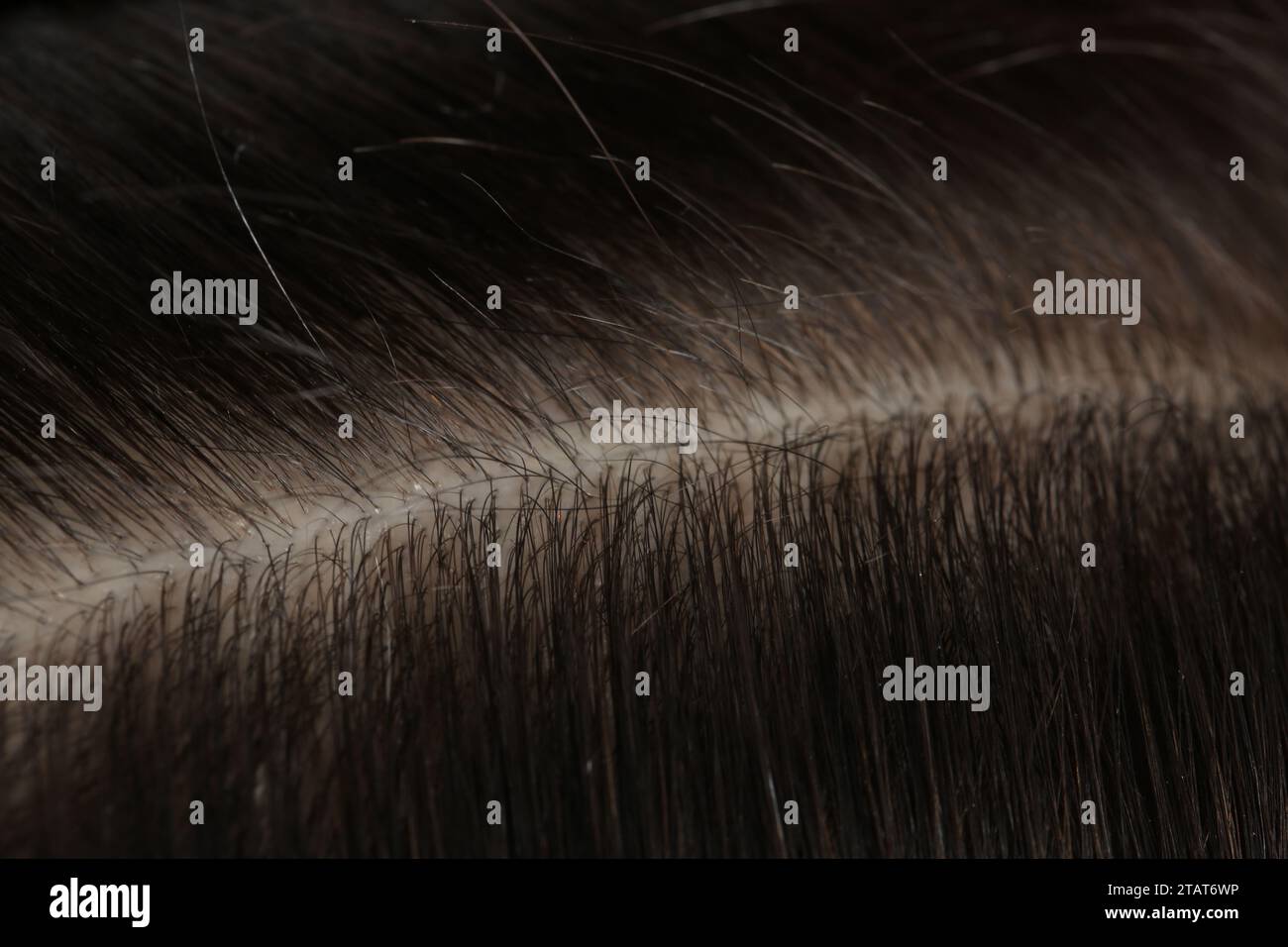 Man with healthy dark hair, macro view Stock Photo - Alamy