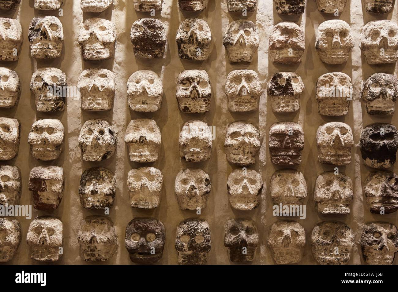 The Templo Mayor Museum in Mexico City, the top museum to learn about ...