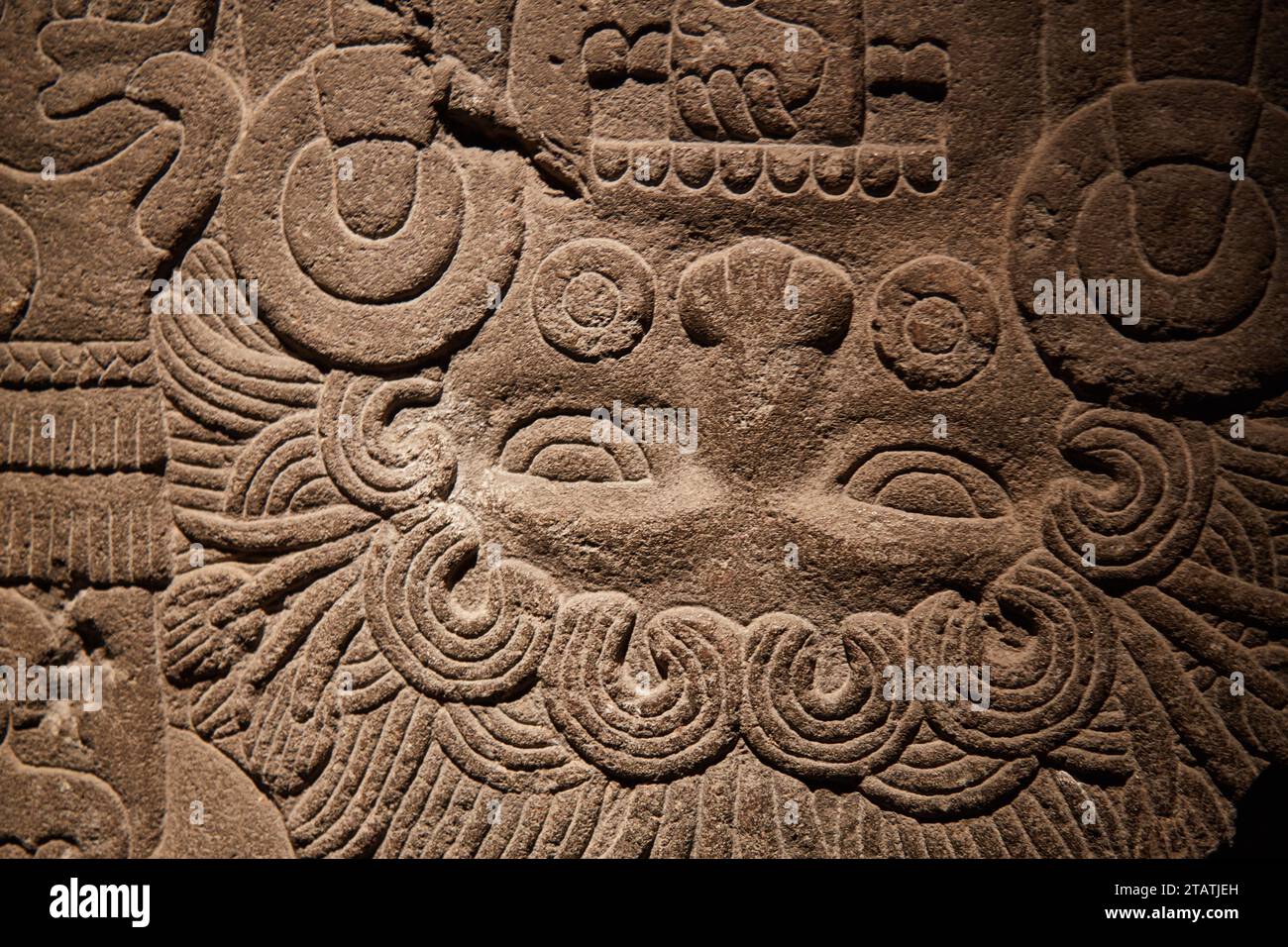 The Templo Mayor Museum in Mexico City, the top museum to learn about ...