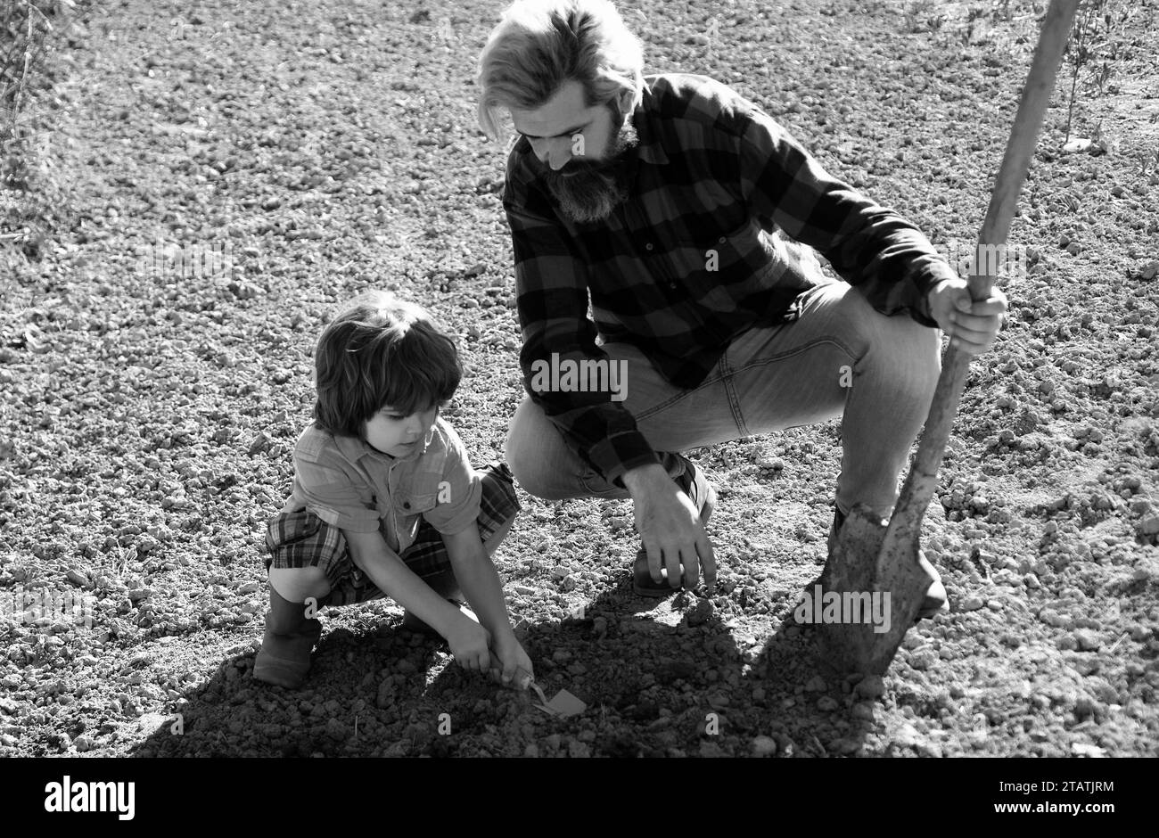 Father planting with son. Dad and kid gardening in garden ground. Growing plants. Spring harvest. Stock Photo