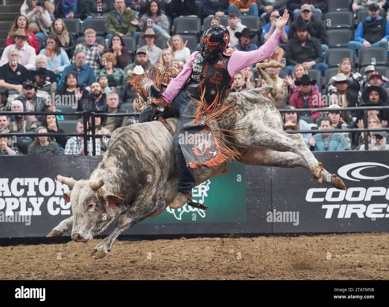 St. Louis, United States. 02nd Dec, 2023. Bullrider Wyatt Rodgers of