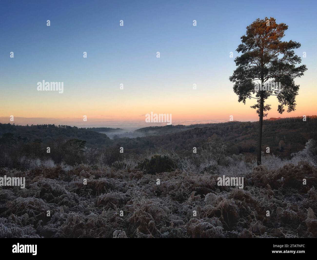 Portsmouth Road, Hindhead. 02nd December 2023. Freezing conditions at