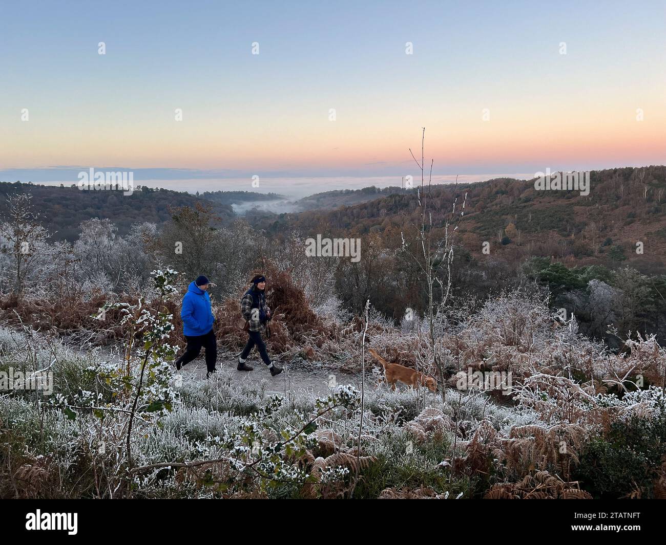 Portsmouth Road, Hindhead. 02nd December 2023. Freezing conditions at