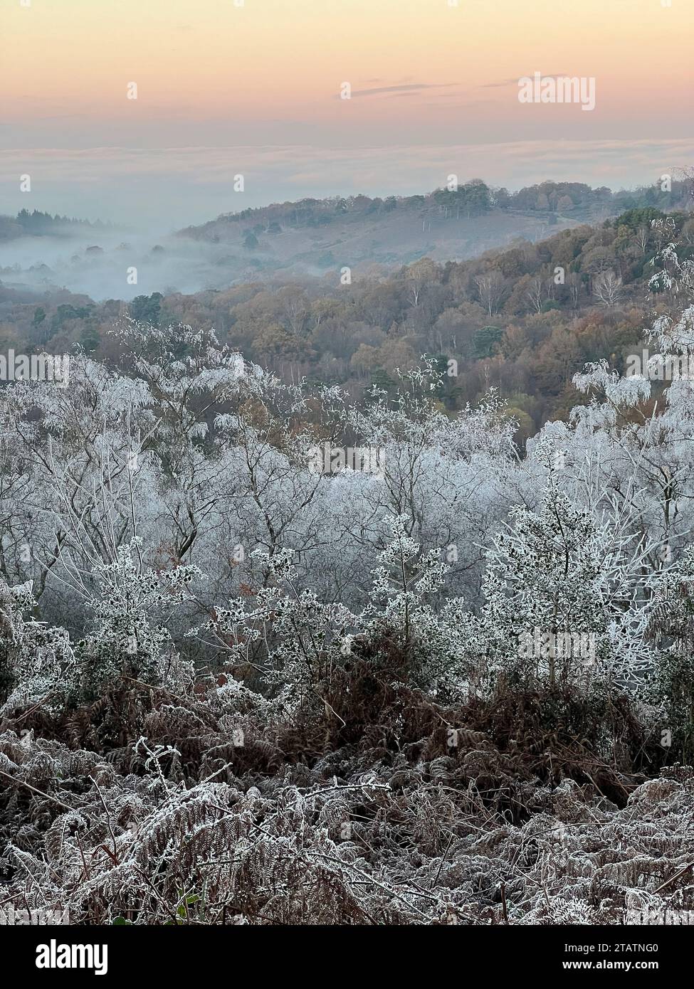 Portsmouth Road, Hindhead. 02nd December 2023. Freezing conditions at