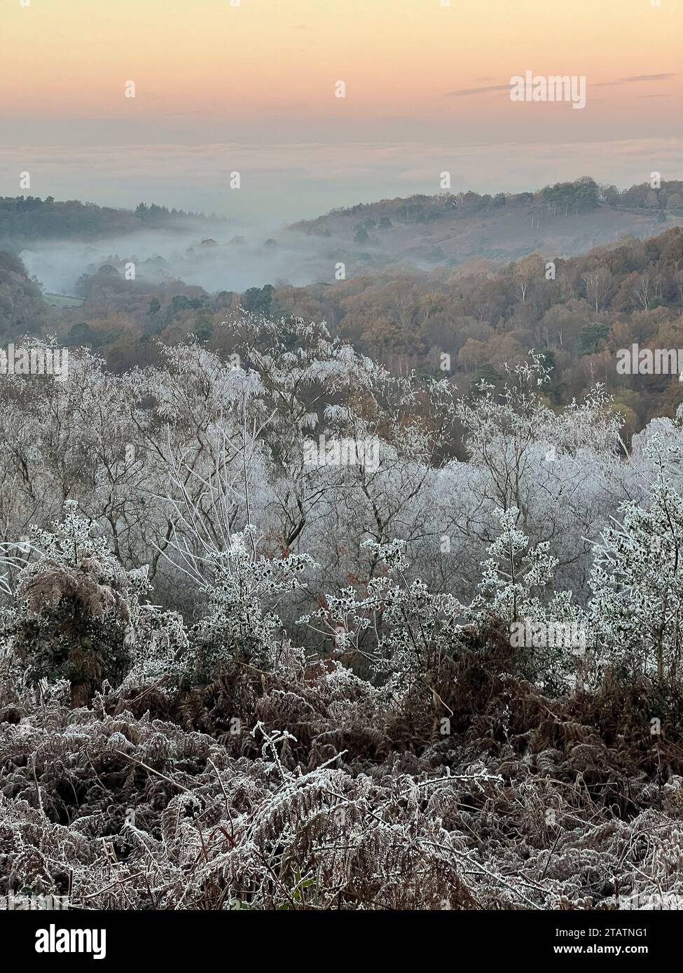 Portsmouth Road, Hindhead. 02nd December 2023. Freezing conditions at