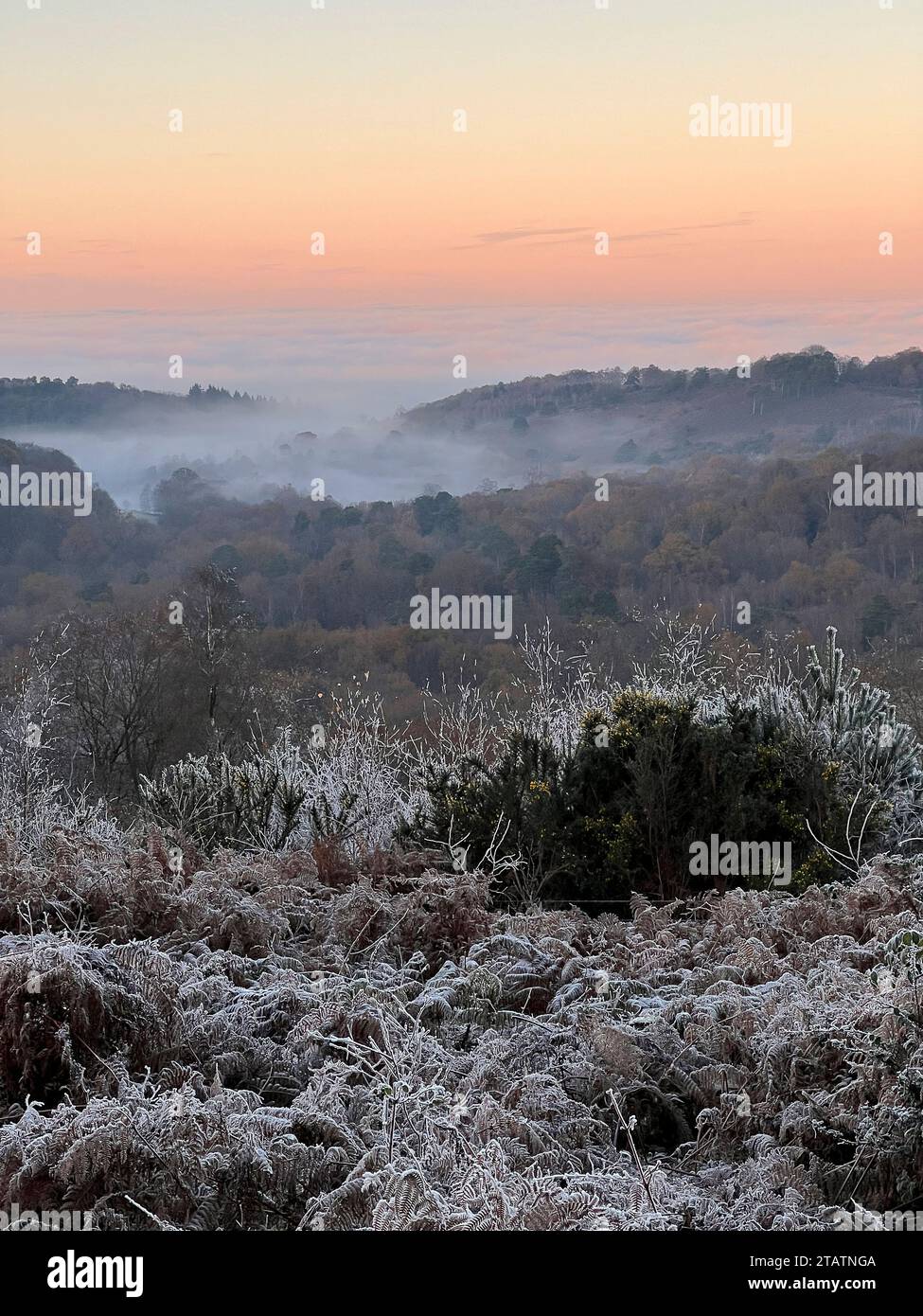Portsmouth Road, Hindhead. 02nd December 2023. Freezing conditions at
