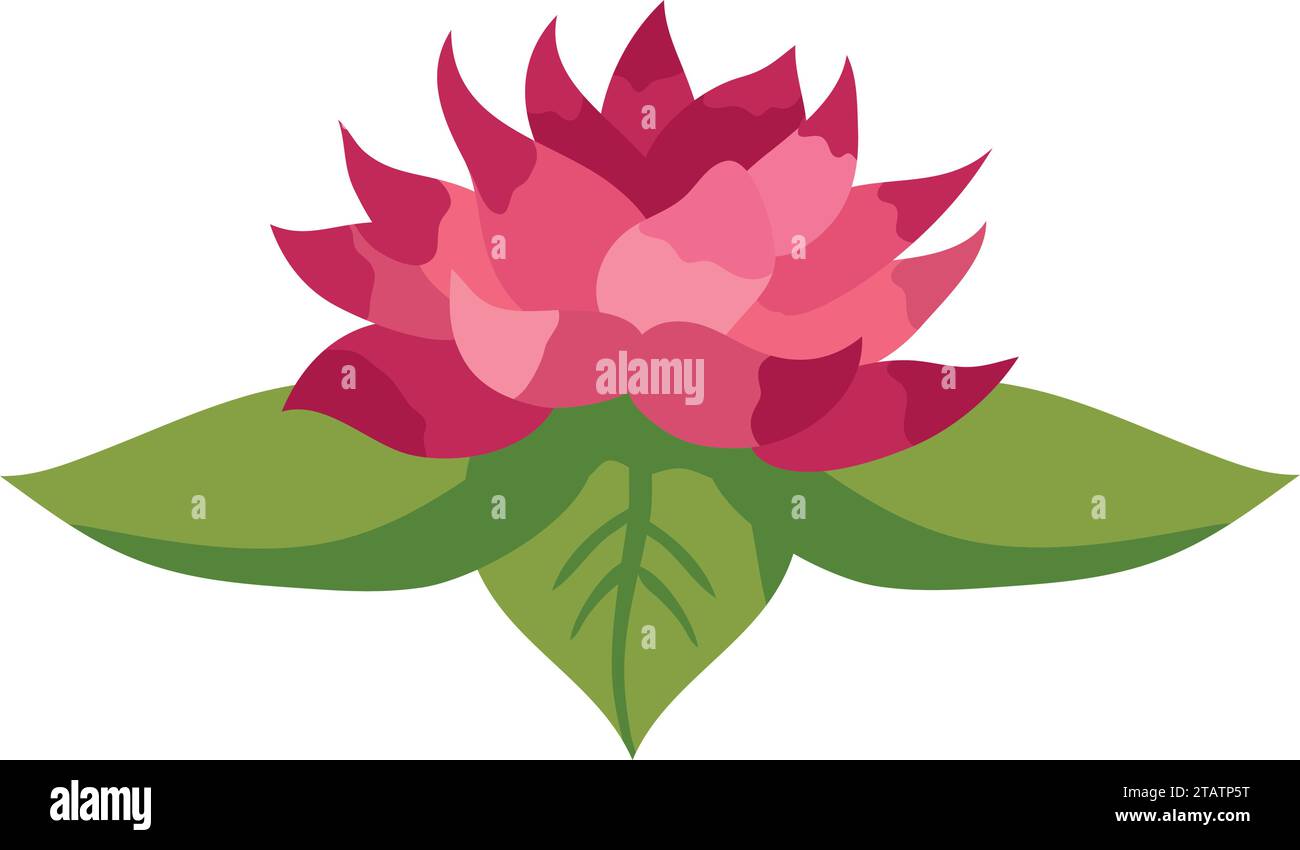 pink lotus flower vector isolated Stock Vector Image & Art - Alamy
