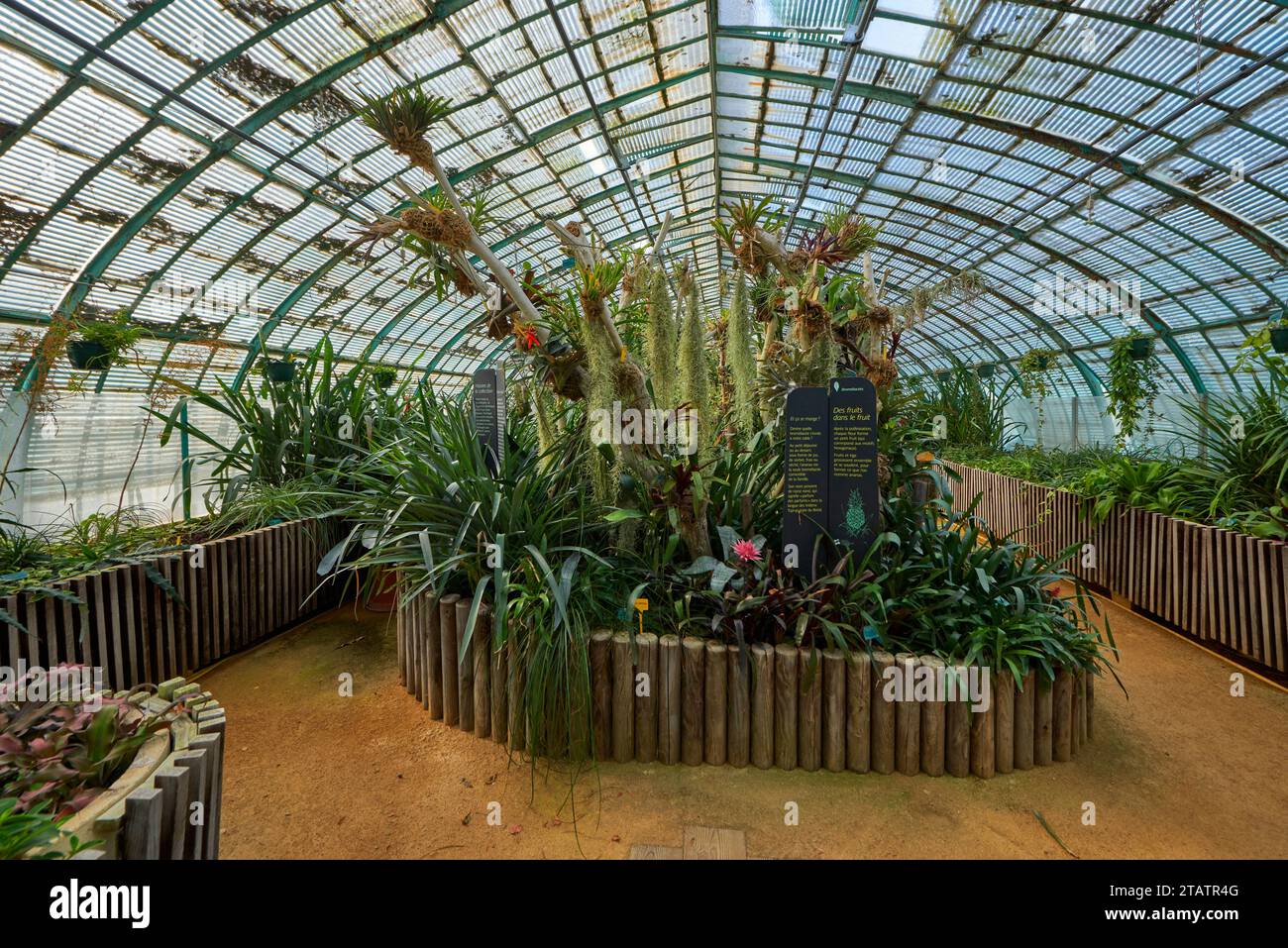 Historical greenhouses hi-res stock photography and images - Alamy