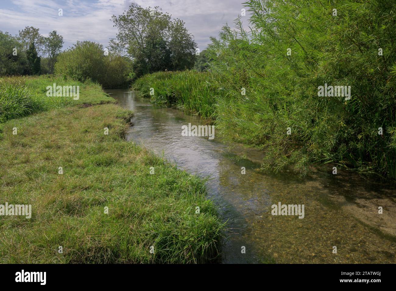 The River Meon, chalk-stream, at Droxford, Hants. Stock Photo