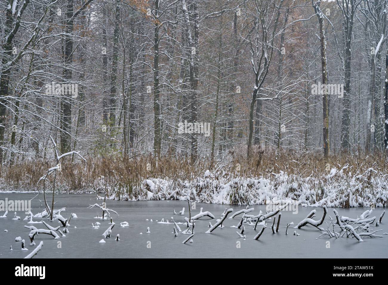 Winter landscape after the first snowfall Stock Photo - Alamy