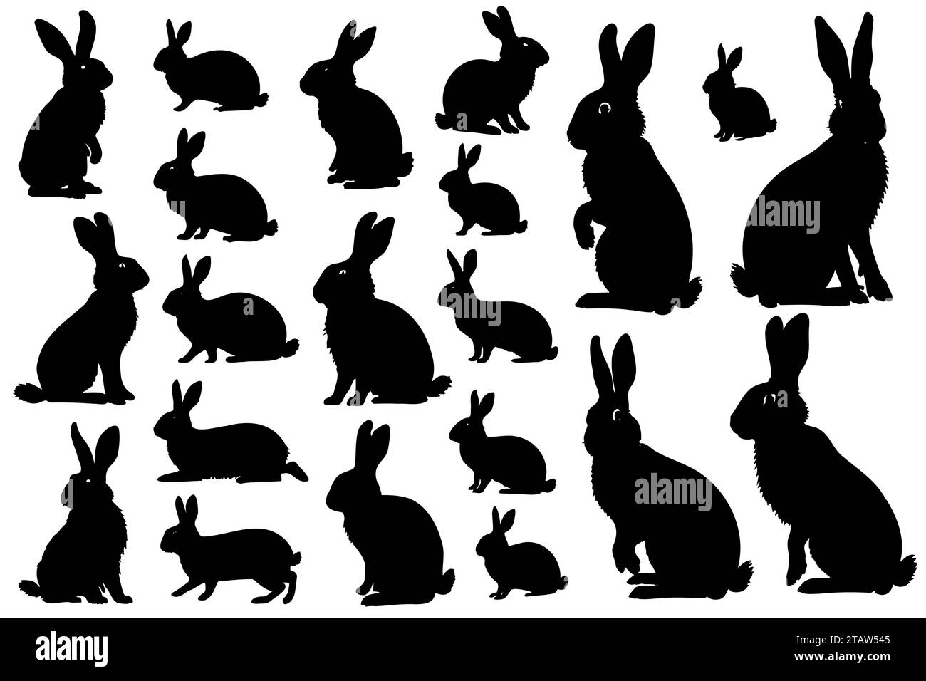 Easter bunny rabbit different Black and White Stock Photos & Images - Alamy