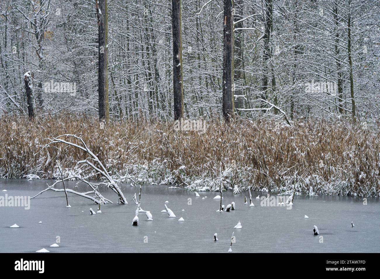 Winter landscape after the first snowfall Stock Photo - Alamy