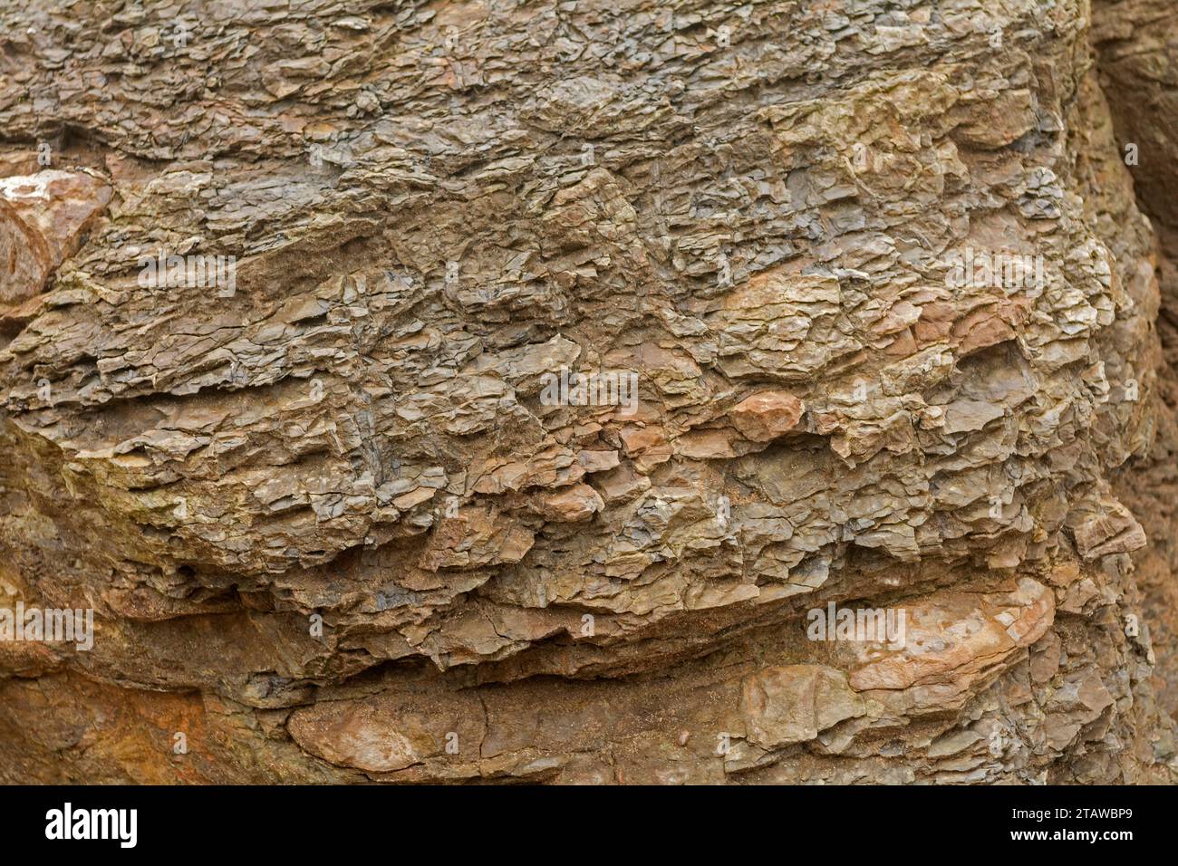 Texture on a rock surface Stock Photo