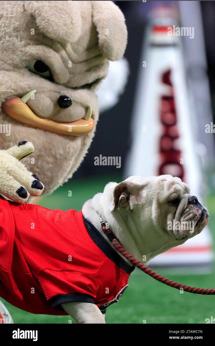 ATLANTA, GA - DECEMBER 02: University of Georgia mascots Hairy Dawg and ...