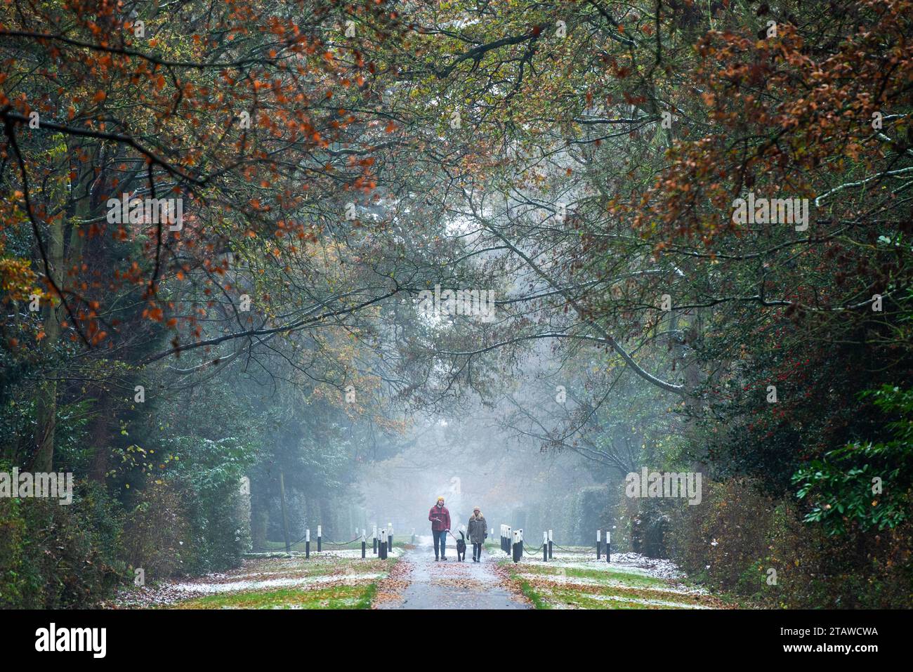 Whatton-in-the-Vale, Nottinghamshire, UK. 3rd December 2023.  Dog walkers after overnight snow in Whatton-in-the-Vale, Nottinghamshire. Neil Squires/Alamy Live News Stock Photo