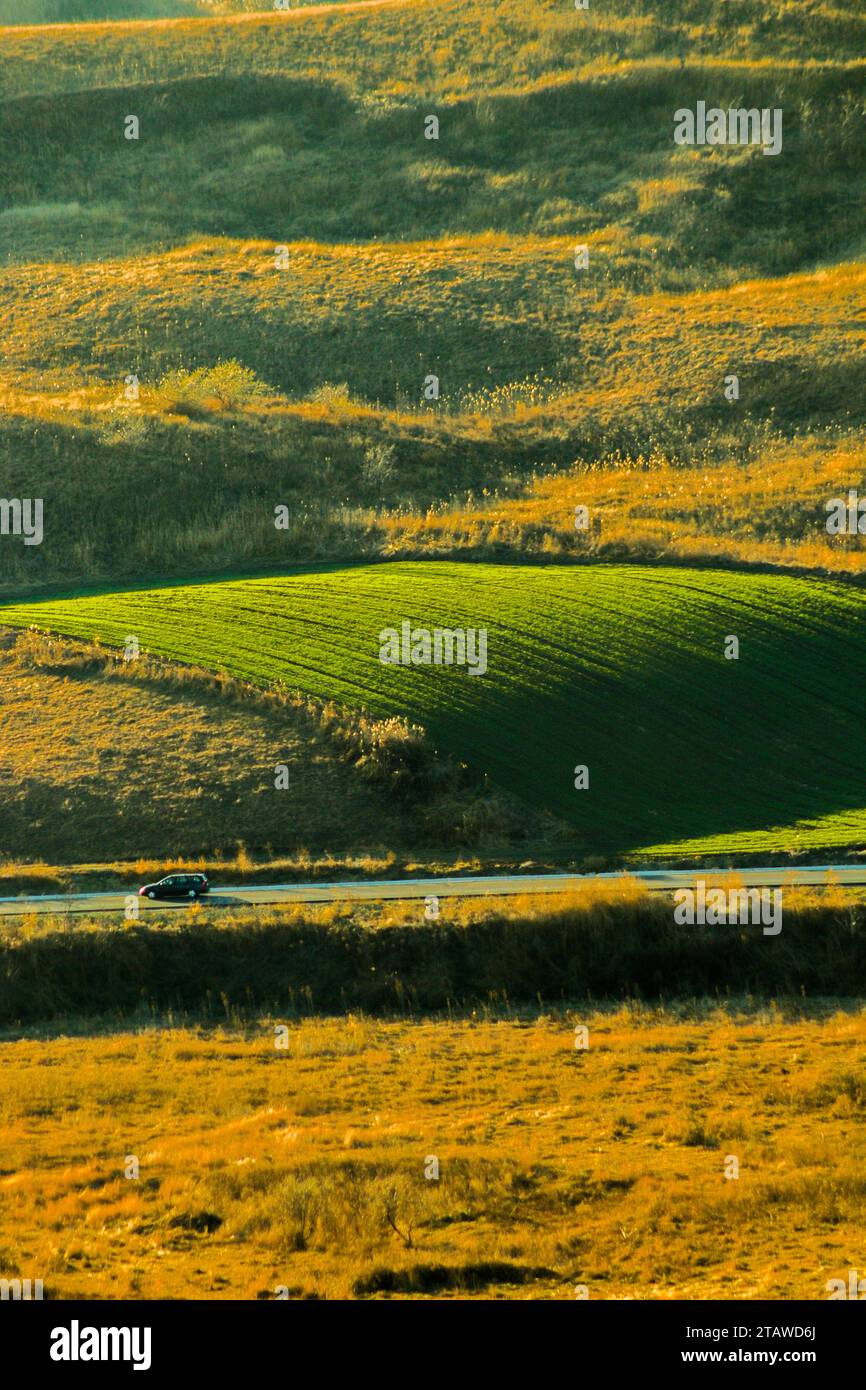 Colorful land, waves of grass and trees, warm light shinning over the beautiful Earth, sun Stock Photo