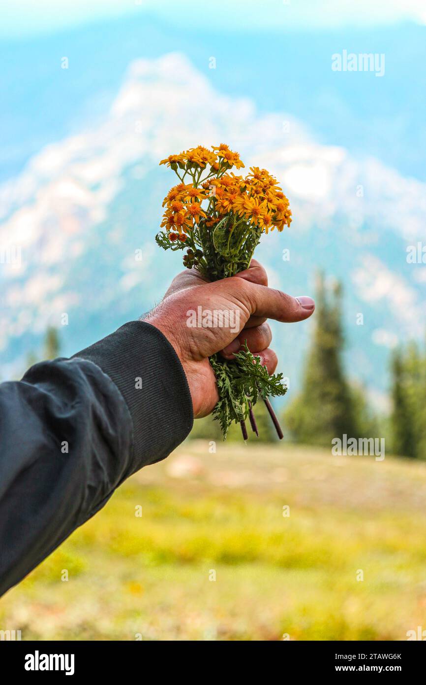 Floral symbolism hi-res stock photography and images - Alamy