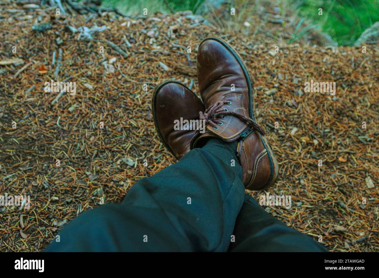 Point-of-view shot of a hiker man's feet in the forest. Stock Photo