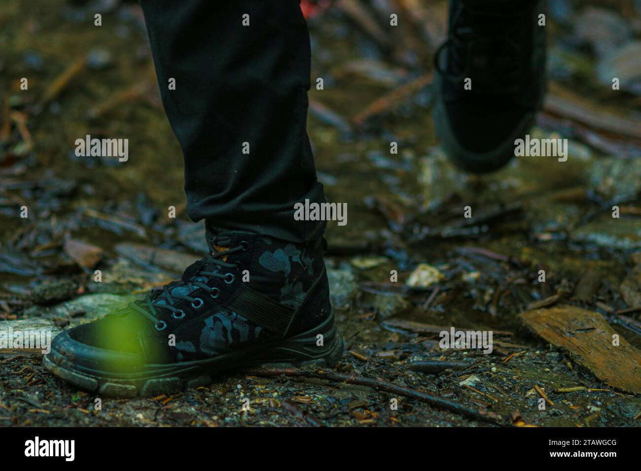 Point-of-view shot of a hiker man's feet in the forest. Stock Photo