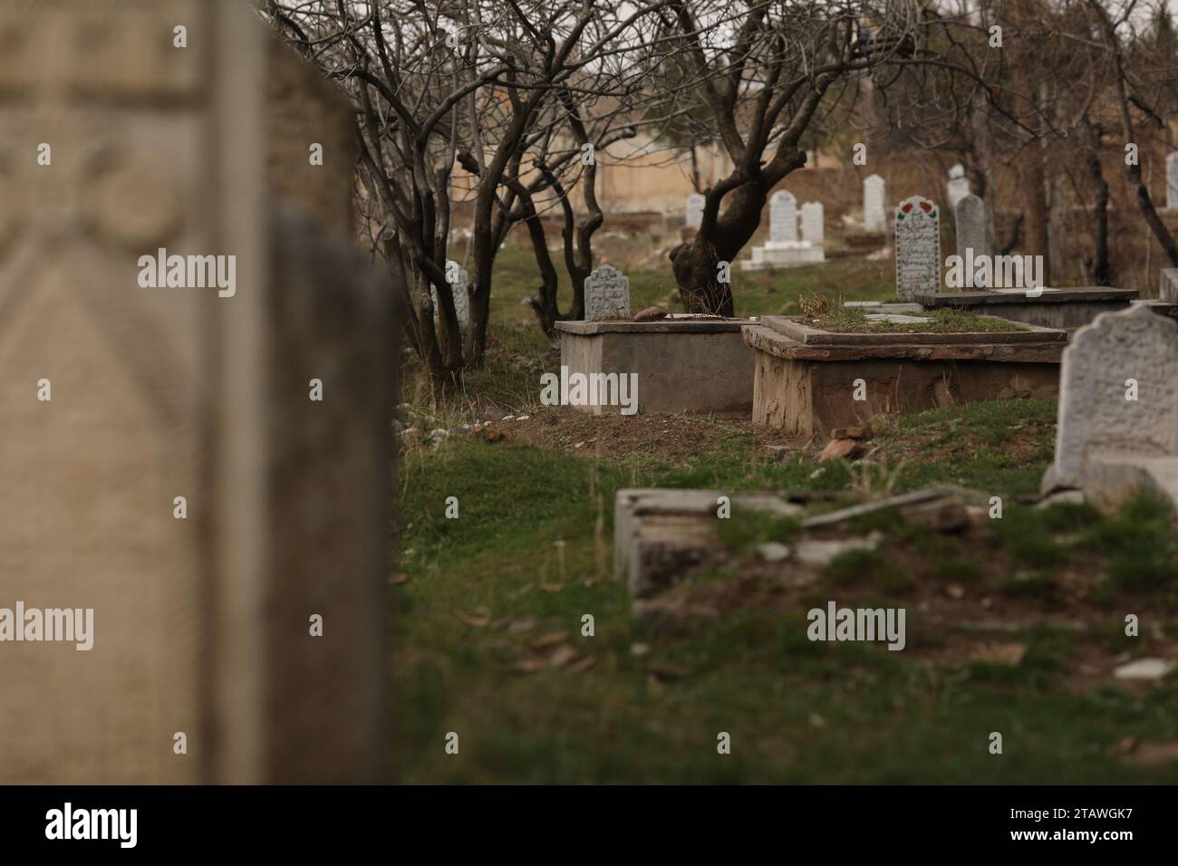 Graveyard in a green environment, with an Arabic sentence written on ...