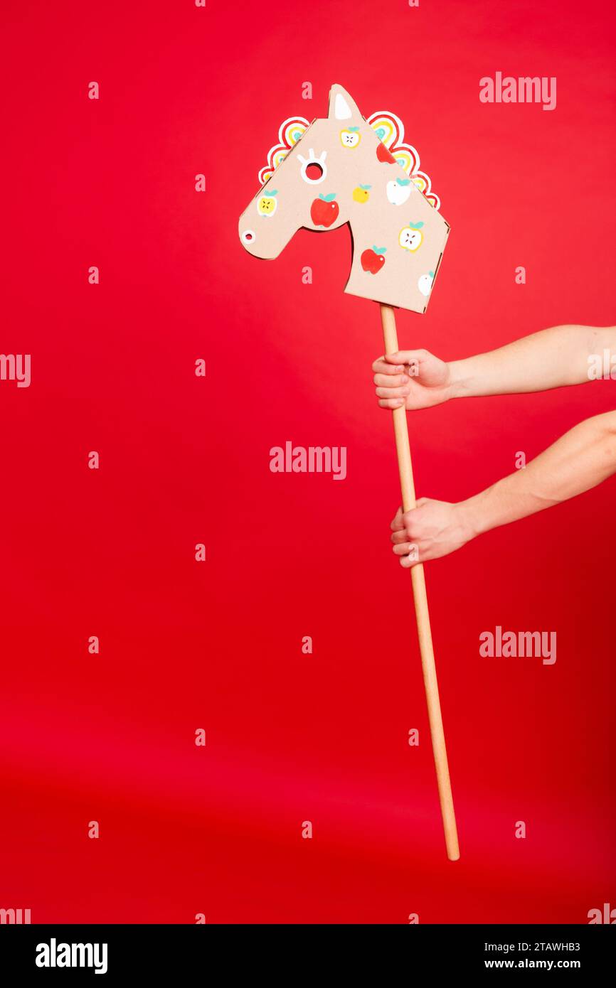 Stick horse, hobby horse. Equestrian sports. Equestrian equipment