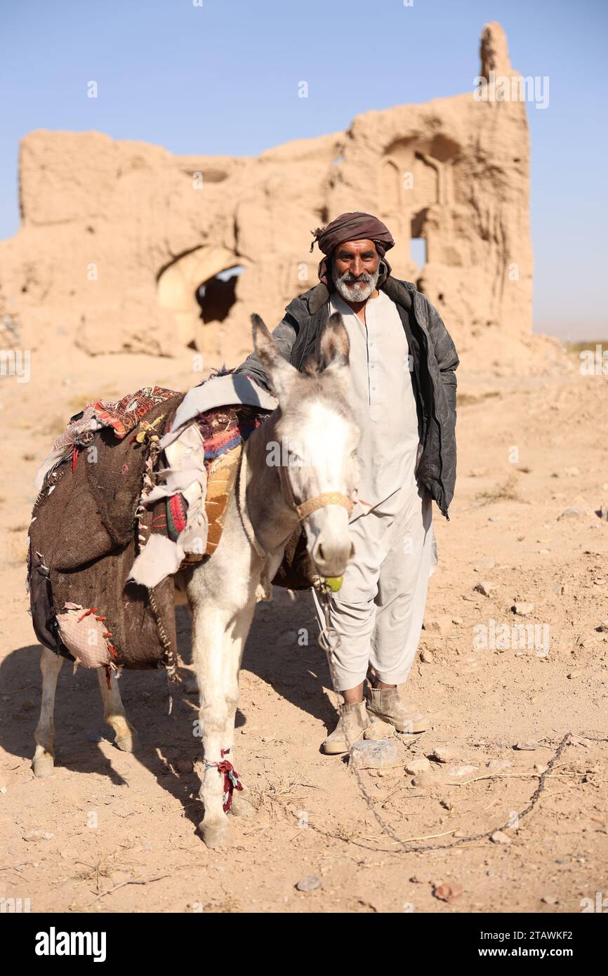 An old man riding a white donkey, happily playing with it, and enjoying the moment with a smile. Kabul, Afghanistan Stock Photo