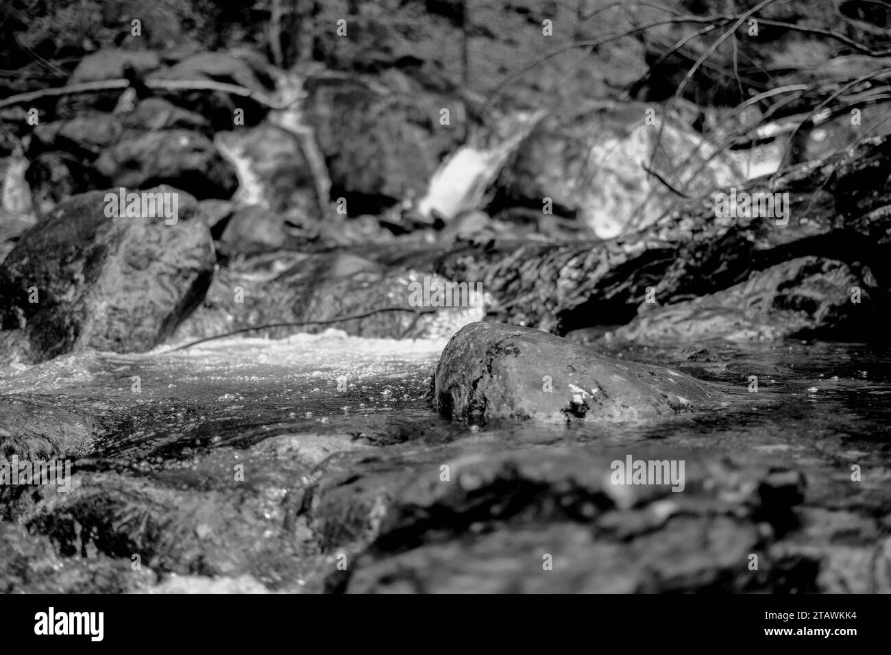 Whether sea, lake or river, water is one of the most beautiful elements