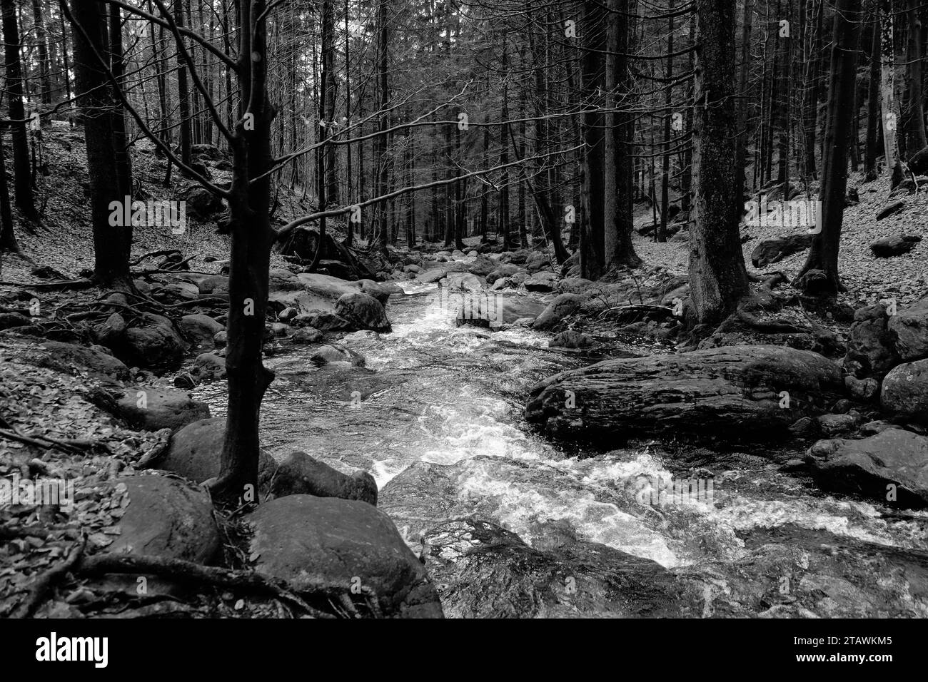 Whether sea, lake or river, water is one of the most beautiful elements