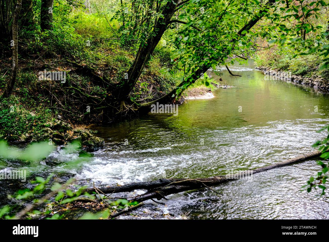 Whether sea, lake or river, water is one of the most beautiful elements