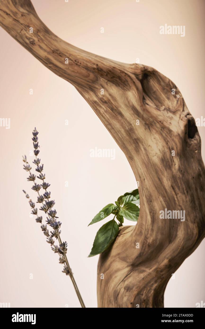 Highquality product showcase backgrounds, Clean product presentation