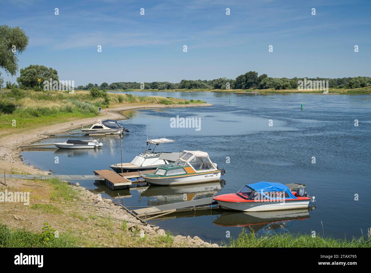 Motorboote, Schiffsanleger, Elbe bei Barby, Sachsen-Anhalt, Deutschland *** Motorboats, jetty, Elbe near Barby, Saxony-Anhalt, Germany Stock Photo