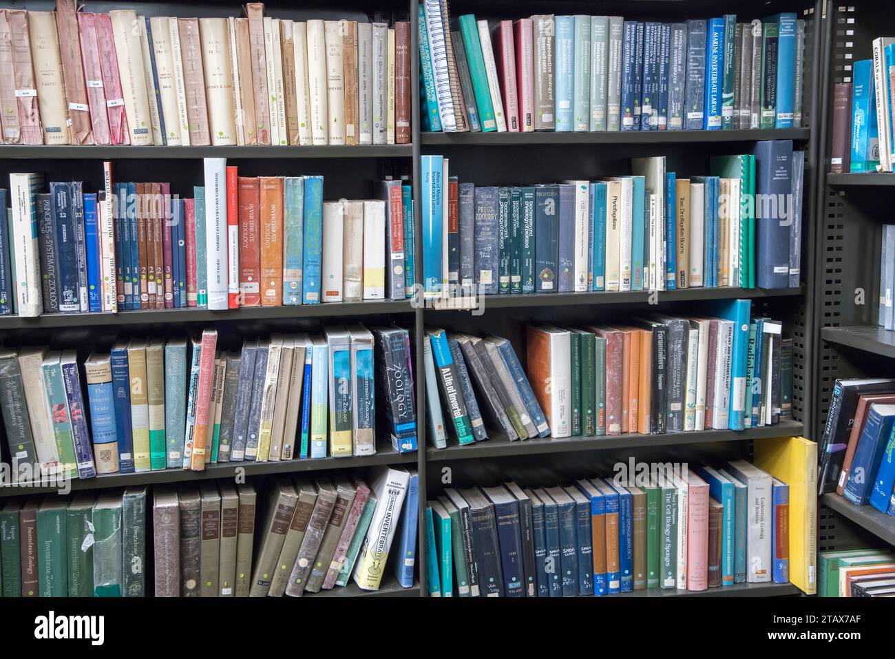 Biology library bookshelves, Great Cumbrae, Scotland, UK Stock Photo